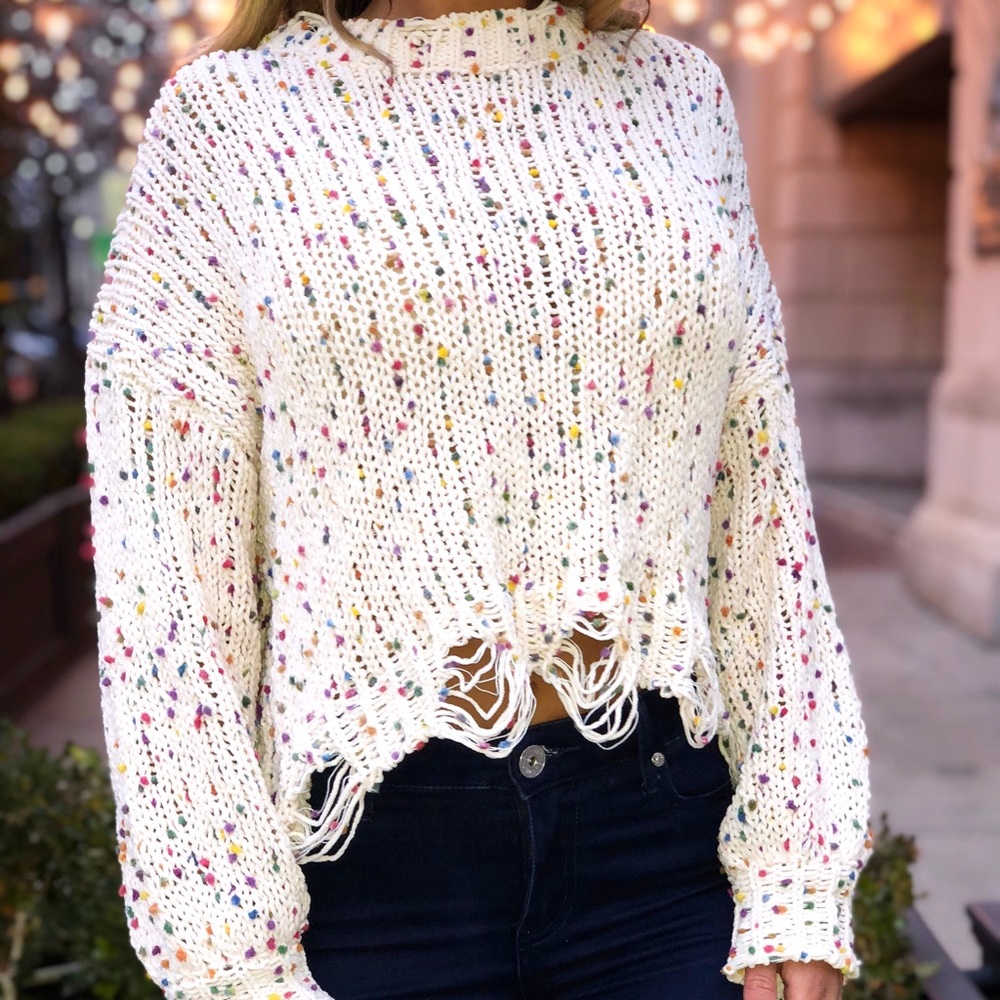 Confetti Cropped Sweater